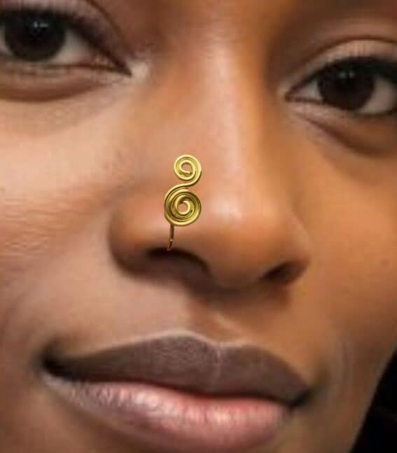 Double Spiral Nose Ring