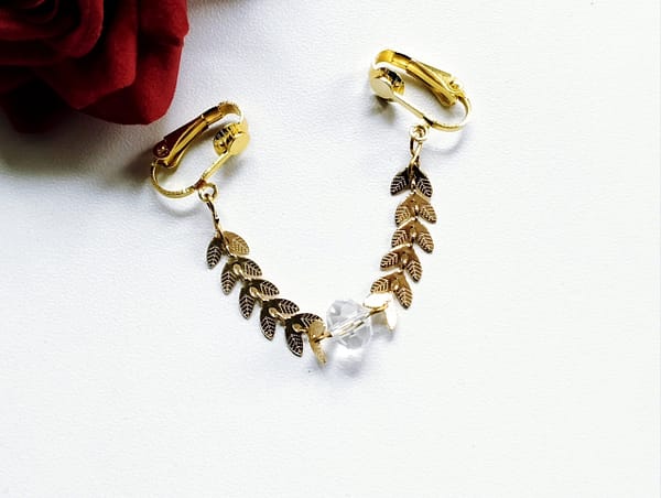 Labia chain clip