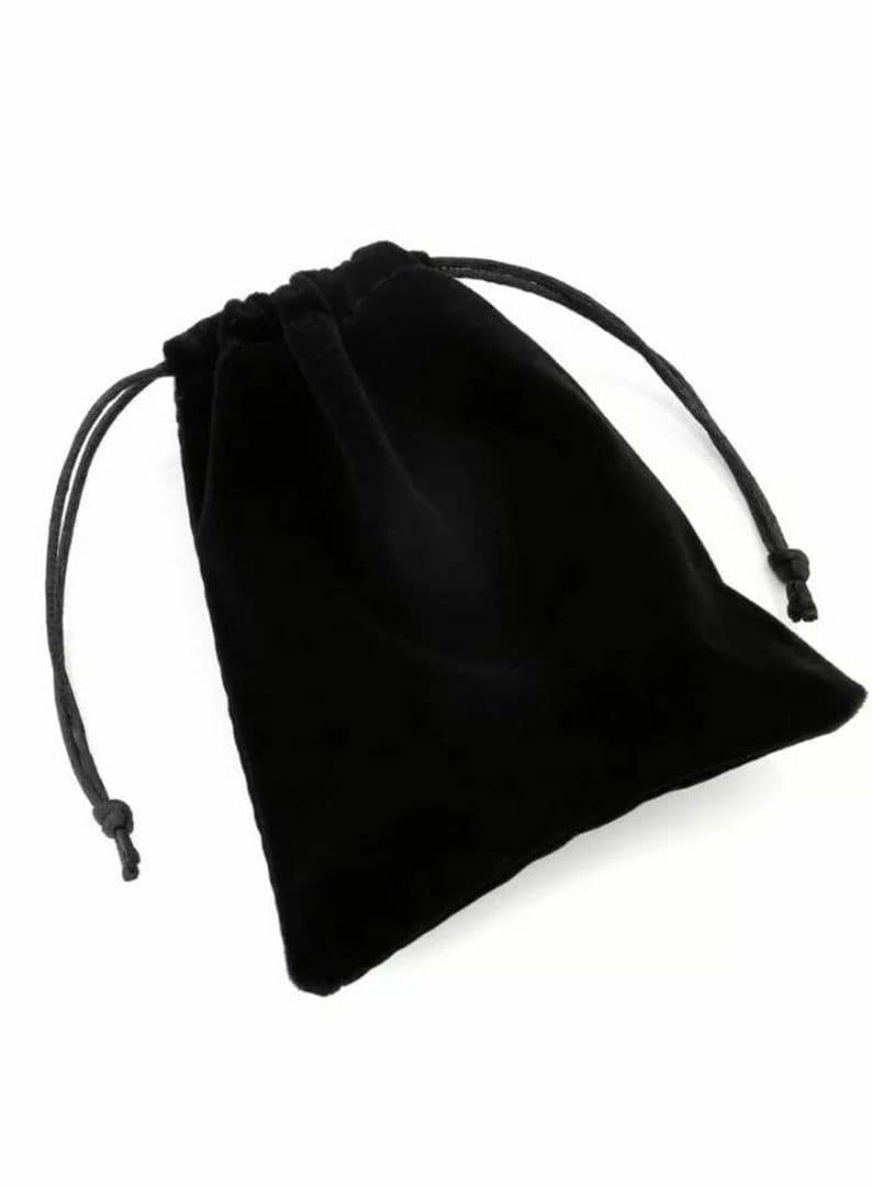 REPIOR SHELL | Pounch Velvet Bag - Image 2